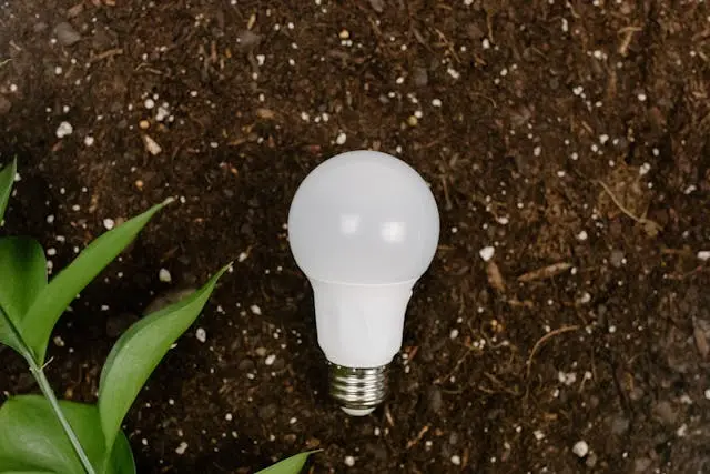 LED bulb placed on soil, symbolizing energy efficiency and sustainability
